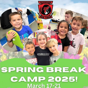 Red Tiger Martial Arts Spring Break Camp