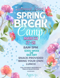 Lakewood Ranch Gymnastics Spring Break Camp