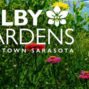 Selby Gardens Downtown Sarasota Summer Camp