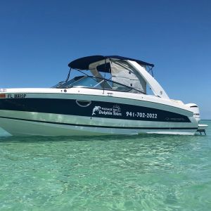 Passage Key Dolphin Tours
