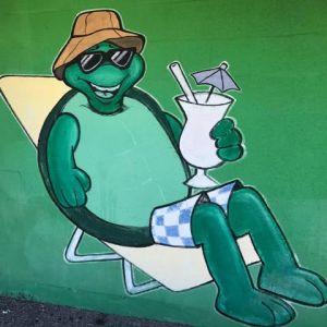 Green Turtle Shell and Gift Shop, The