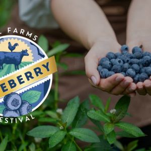 04/05-27 - Keel Farms Blueberry Festival