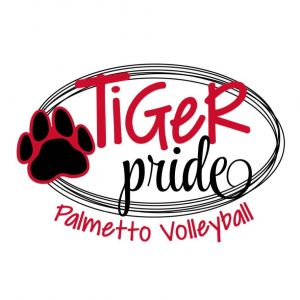 Palmetto Tigers Volleyball Camp