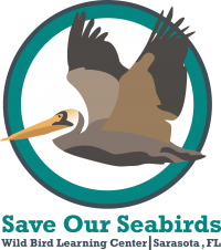 Save Our Seabirds Field Trips