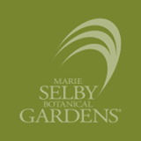 Marie Selby Botanical Gardens - Yoga in the Gardens