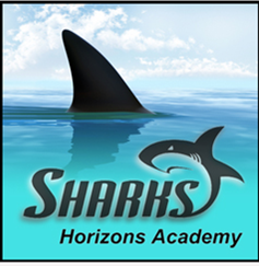 Horizons Academy