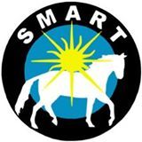 Sarasota Manatee Association for Riding Therapy - Horse Sense Literacy
