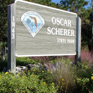 Oscar Scherer State Park Geo-Seeking
