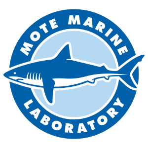 Mote Aquarium Homeschool Programs