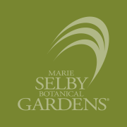 Marie Selby Botanical Gardens Field Trips