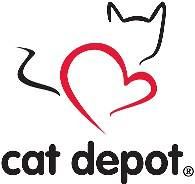 Cat Depot High School Student Volunteering