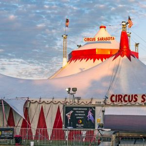 Sailor Circus Arena