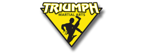 Triumph Martial Arts Birthday Parties