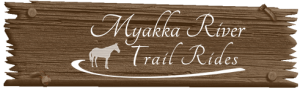 Myakka River Ranch Horseback Trail Rides