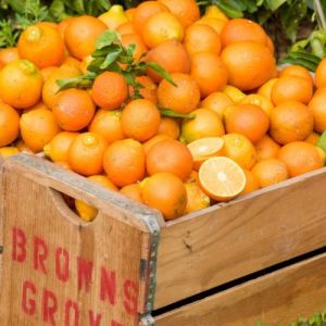 Brown’s Grove Citrus