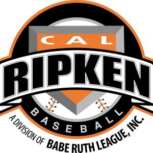 Sarasota Cal Ripken Baseball