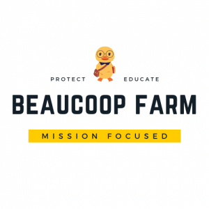 Beaucoop Farm Hatching Program