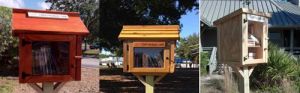 Twin Lakes Park Little Free Library